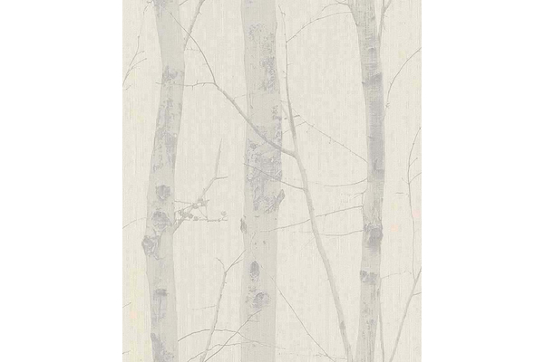 6305-14 Paradisio