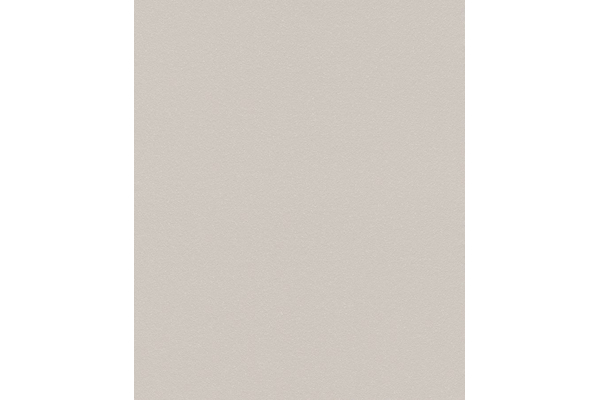 Tapete 523188 Rasch Sparkling