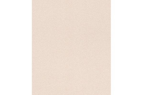 Tapete 523324 Rasch Sparkling