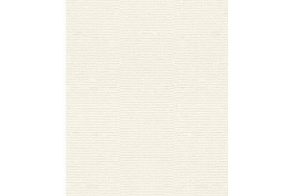 Tapete 800661 Rasch Cato