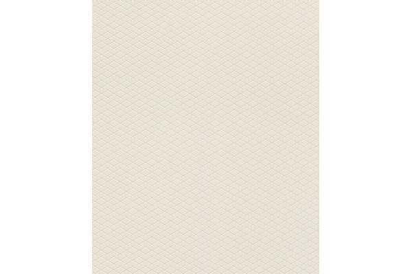 Tapete 800937 Rasch Cato