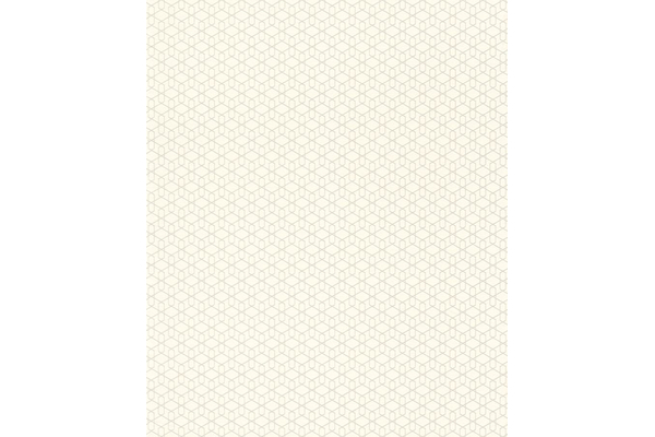 Tapete 800944 Rasch Cato