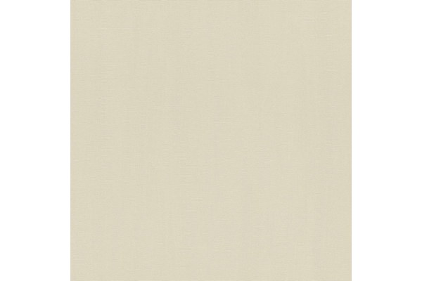Vlies Tapete Rasch Hyde Park 411928 uni Struktur beige