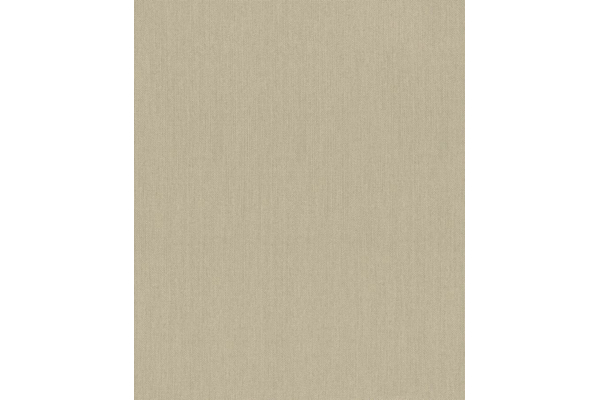Vlies Tapete Rasch Mandalay 528534 uni Struktur hell braun