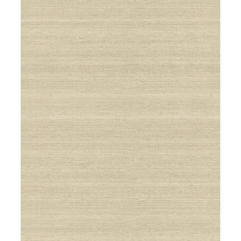 Vlies Tapete Rasch Mandalay 528831 uni Struktur hell braun